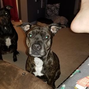 Meet your Posher, Shayna